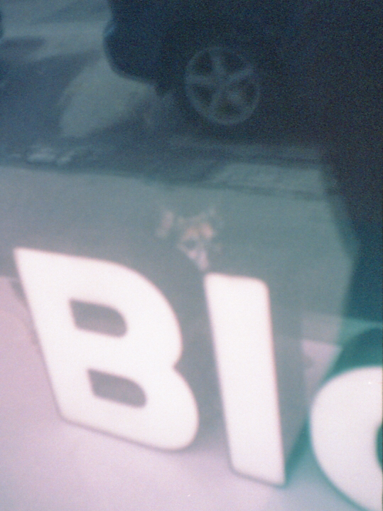 いぬのまなざし